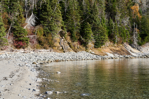 Eau,Plage,Petit-Gaspé,Milieu naturel,Forêt,Parc Forillon,Saison,Automne,Parc provincial,Jour,Temps